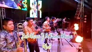 Coyuca De Catalán En vivo  Erik Moreno Y Su Banda Maximo Nivel 2024 [upl. by Mcdonald116]