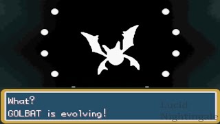 Pokemon Fire Red Zubat Evolves to Golbat and to Crobat [upl. by Nea]