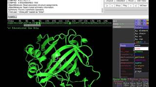 Pymol tutorial active site and metal binding of HCAII [upl. by Bencion]