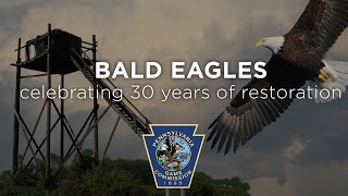 Pennsylvania Bald Eagles Celebrating 30 Years of Restoration [upl. by Kaylil974]