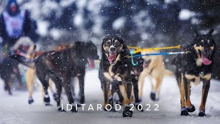 2022 Iditarod Ceremonial Start in Slow Motion [upl. by Asilec839]