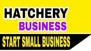 How to Start Small Hatchery Business  Home Based Hatchery Business Idea  Egg Hatching Process [upl. by Whall]