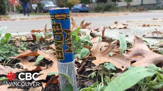 Surrey BC increases firework fines ahead of Halloween and Diwali celebrations [upl. by Fanchon]