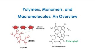 Principles of Polymer Chemistry Monomers Polymers And Macromolecules An Overview Lect 1 [upl. by Trisha]