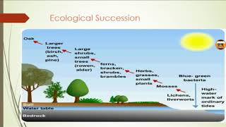 Ecological succession in environmental science [upl. by Nyleimaj]