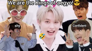 Stray Kids Seungmin and Leeknow being the kings of aegyo [upl. by Nelleeus]