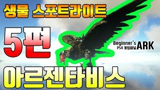 비기너스 아크 ARK  SURVIVAL EVOLVED 생물 스포트라이트  5편 아르젠타비스 [upl. by Krause]