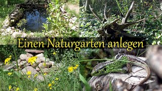 Einen Naturgarten anlegen  Grundlagen für den naturnahen Garten [upl. by Wasserman375]