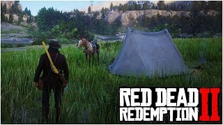 5 FUN THINGS TO DO IN RED DEAD REDEMPTION 2 AFTER COMPLETING THE STORY [upl. by Benson]