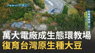 全台首座生態電廠 quot洞內宿舍quot藏懷舊日式建築 台電曾籌建quot萬大分校quot 水力電廠化身生態教室 復育quot原生種大豆quot｜主播 李文儀｜【POWER心動力】20240218｜三立新聞台 [upl. by Nahraf755]