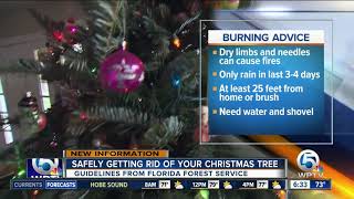 Properly dispose of your Christmas tree to prevent fires [upl. by Atsillak691]