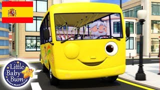 Canciones Infantiles  Las Ruedas del Autobús P 11  Dibujos Animados  Little Baby Bum en Español [upl. by Ahtnamas]