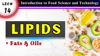 LIPIDS amp Fatty Acids Types Uses Sources amp Nutritional Value of Fats [upl. by Nyl]