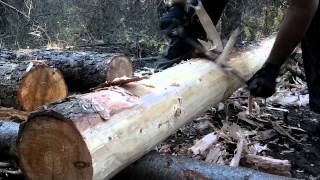 How to use a Drawknife  Drawshave  Peeling logs [upl. by Iveson]