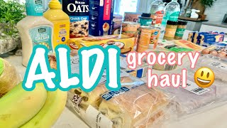 ALDI GROCERY HAUL [upl. by Nimaynib431]