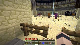 Etho MindCrack SMP  Episode 80 Arena Fight Night Part 2 of 2 [upl. by Cicely]