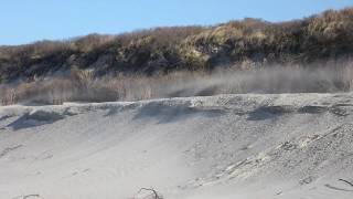 Langeoog 28032020  vor dem Pirolatal [upl. by O'Brien]