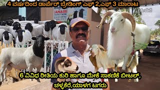 Dorper yalagabeetalsheepfarming 6 ವಿವಿಧ ರೀತಿಯ ಕುರಿ ಹಾಗೂ ಮೇಕೆ ಸಾಕಣಿಕೆ ಬೀಟಲ್ ಚಳ್ಳಕೆರೆಯಾಳಗ ಟಗರು [upl. by Eural666]