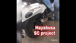 Suzuki Hayabusa  Exhaust  sc project  loudests Sound [upl. by Rosenblast966]