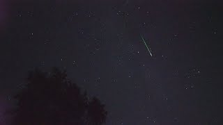 Perseid Meteor Shower  Perseiden 2019  40 Meteors in real time [upl. by Shien542]