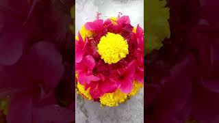 Happy Bathukamma to all  bathukamma like share song  subscribe 2024 [upl. by Rosamond128]