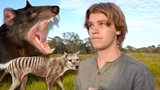 Hunt for EXTINCT Tasmanian Tiger amp Devil of TASMANIA Thylacine [upl. by Holofernes44]