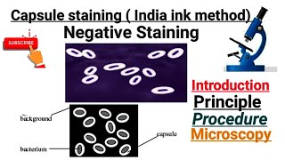 Capsule Staining  India ink method  Part 5 [upl. by Immac643]