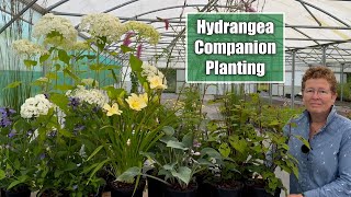 Companion Planting for Hydrangea in Part Shade  How To Build A Garden Border [upl. by Shaeffer]