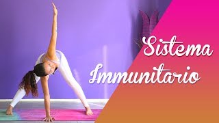 Yoga  Rinforzare il Sistema Immunitario [upl. by Ynohtnaleahcim690]