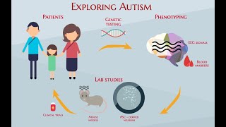 Autism and the Microbiome Very Interesting Good vs Bad Bacteria Analysis Reported in recent research [upl. by Donavon]