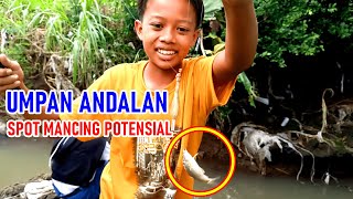 SUNGAI KECIL IKAN WADER BABON MANTAP SAMBARANNYA GANAS  MANCING WADER BABON [upl. by Eben972]