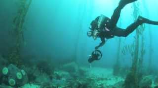 Incredible Technical Diving at Point Lobos Carmel California [upl. by Yannodrahc]