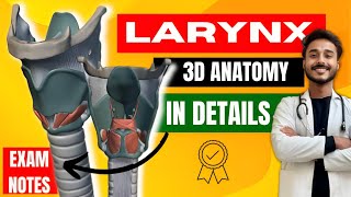 Larynx anatomy  cartilage of larynx anatomy  ligaments of larynx anatomy  muscle of larynx [upl. by Naihs836]