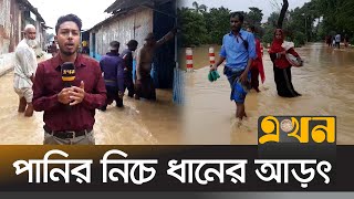 নেত্রকোনায় বন্যা পরিস্থিতি ভয়াবহ  Flood News  Netrokona  Mymensingh  Sherpur  Ekhon TV [upl. by Naivart907]