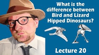 What is the difference between bird and lizard hipped dinosaurs [upl. by Atiroc803]