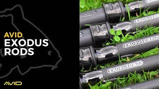 Exodus Rods [upl. by Rowena]