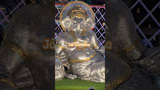 Jai Ganesha bappa Jai ho music festival cover song motivation reels viralpost mumbai [upl. by Caundra]