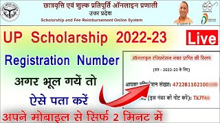 up scholarship registration number kaise pata kare 2022  up scholarship registration number forgot [upl. by Angelia]