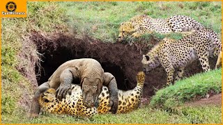 45 Incredible Clash Of Komodo Dragon VS Leopard Buffalo Lion Crocodile And A Surprise Ending [upl. by Dygert273]