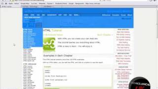 Basics of HTML Coding  Notepad [upl. by Nihi]