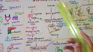 tous savoir sur LACIDOCETOSE DIABETIQUEDEUXIÈME PARTIE  MÉCANISME BIOCHIMIQUEPHYSIOPATHOLOGIQUE [upl. by Kaltman405]