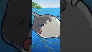 Ocean Sunfish 🌕🐡 animation original cartoon [upl. by Marlon]