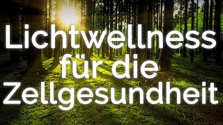 Cellalux Lichtwellness zur GanzkörperEnergieaufnahme Körperstromaktivierung ist das Zauberwort [upl. by Ramuk]