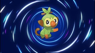 Grookey Evolution Line [upl. by Ahsenwahs]