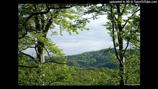 Tomaso Albinoni Oboe Concerto in D Minor Adagio [upl. by Sibel]