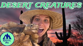 DESERT CREATURES of ARIZONA [upl. by Miner]