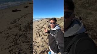 L’ampoule fonctionne selon vous  💡 plage nature vlog humour [upl. by Ilario]