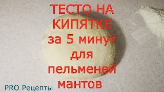 ТЕСТО НА КИПЯТКЕ ЗА 5 МИНУТ для пельменей чебуреков мантов вареников [upl. by Iras]