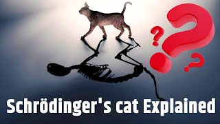 What is Schrodingers cat Schrödinger cat experiment explained in Hindi [upl. by Sclater]