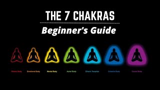 7 Chakras explained Beginners guide 101 [upl. by Wordoow]